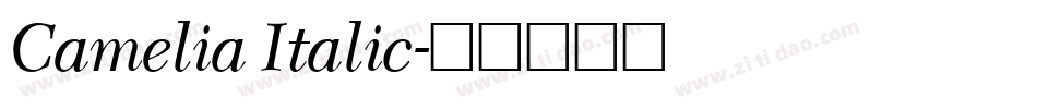 Camelia Italic字体转换